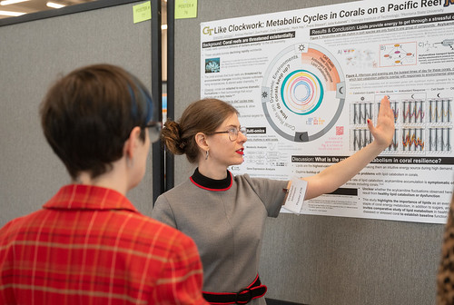 A man looks at a woman who is explaining her research via a poster.