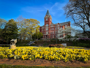 Tech Tower in Spring. Photo: Brice Zimmerman. An exterior shot of Tech Tower, with yellow flowers visible in the foreground.