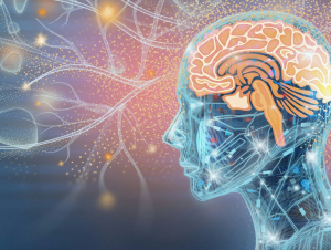 The human brain has 86 billion neurons that make trillions of connections. Grafissimo/DigitalVision Vectors via Getty Images The human brain has 86 billion neurons that make trillions of connections. Grafissimo/DigitalVision Vectors via Getty Images